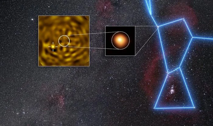 Betelgeuse is not alone