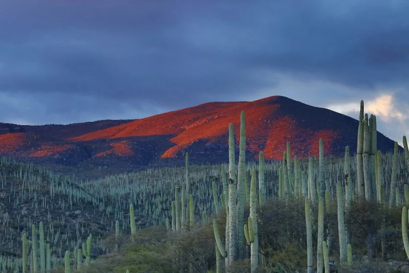 Is Mexico really dangerous? Why travel advisories don’t tell the whole story