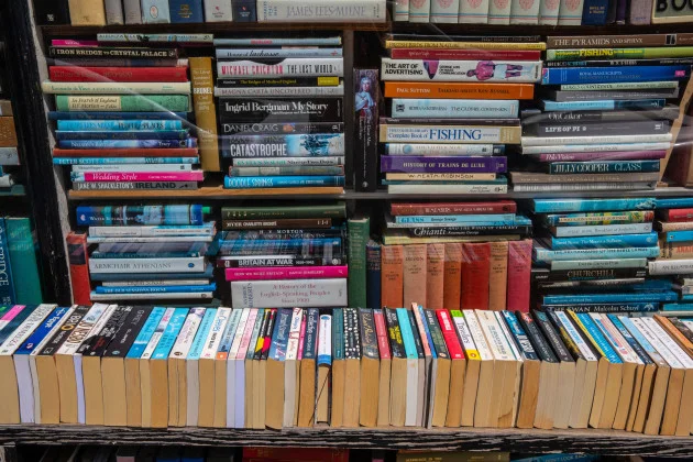 Why AI might kill the second-hand bookshop