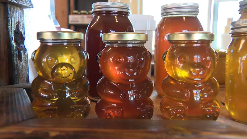 B.C.’s honey producers brace for the sting of 50% new tariff from the U.S.
