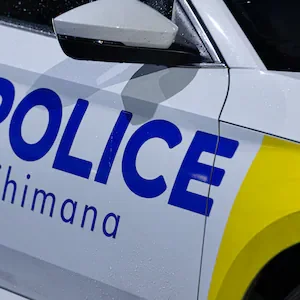 Police arrest three after alleged thefts from Hutt Valley stores