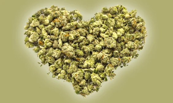 Is Cannabis Good for Your Heart?