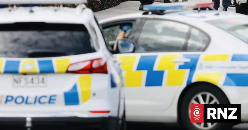 Person in serious condition after reported stabbing in Te Atatū, Auckland