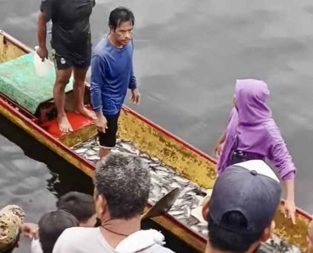 BFAR probes fish kill in Bicol's Lake Buhi