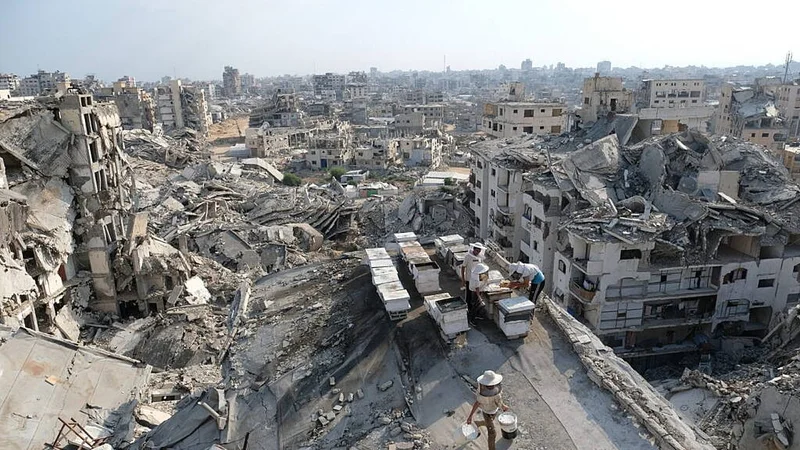 Israel rejects Trump’s Gaza plan, more details emerge on Strait of Hormuz
