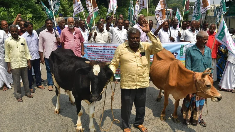 Aavin's procurement price hike disappoints milk producers