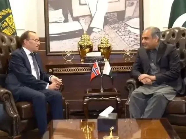 Naqvi tells Norway FM of Afghan soil misuse