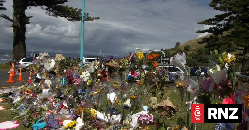 Report warning of high risk to life from Mount Maunganui landslide went unread by officials