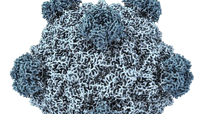 AI used to create new viruses in the lab