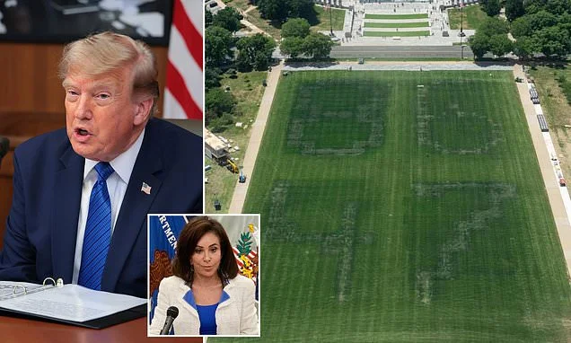 Trump blasts decision to drop charges against Olympian accused of vandalizing Reflecting Pool as he insists DoJ report on cause of damage is wrong