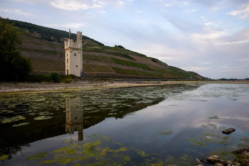 Germany’s economy at risk as Rhine river hits record level