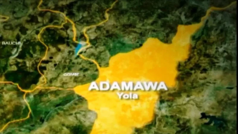 Adamawa man arraigned for stealing 27 pieces of women’s underwear