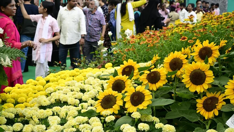 Three more Lalbagh-like gardens in Bengaluru: Chief Minister D.K. Shivakumar