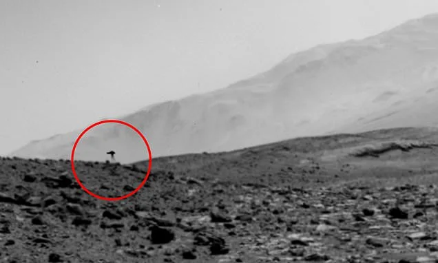 Mysterious 'jellyfish' spotted in NASA Mars photo sparks theories of life on the Red Planet