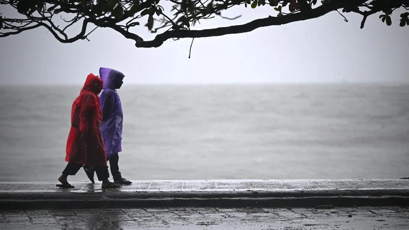 IMD forecasts slight revival of monsoon rains in Kerala; yellow alert for 4 districts on August 18