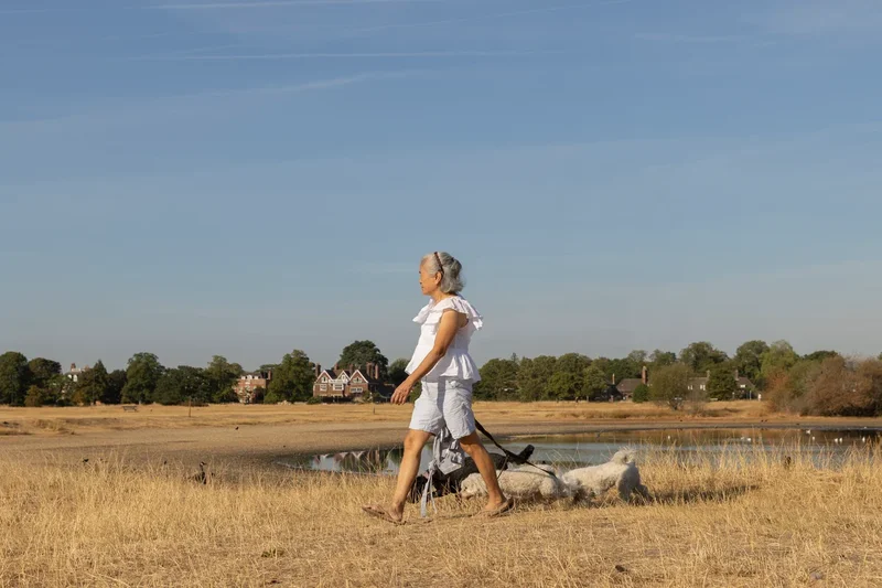 I’m a plant scientist. The devastating effects of the UK’s drought are still to come