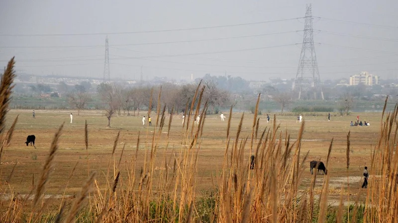 Yamuna floodplains: SC overturns order against Art of Living, orders refund of ₹5 crore fine