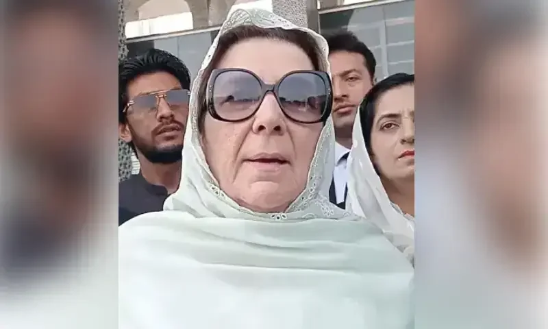 Peshawar High Court grants transit bail to Noreen Niazi in Peca case