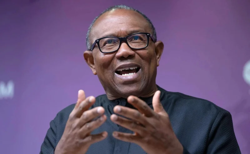 ‘End this cycle of killings’ – Peter Obi tells FG after fresh Sokoto, Benue attacks