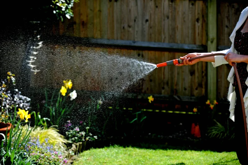 The plants to save and sacrifice during a hosepipe ban – everything you need to know