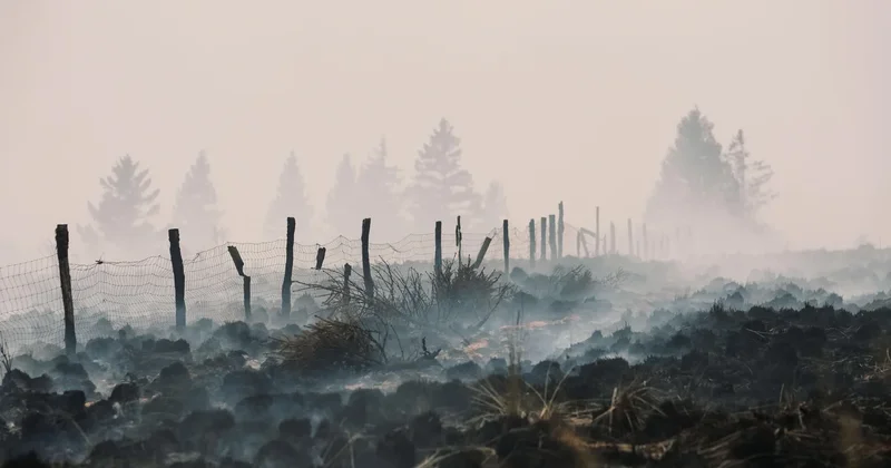 European wildfires expose, detonate buried explosives from past wars