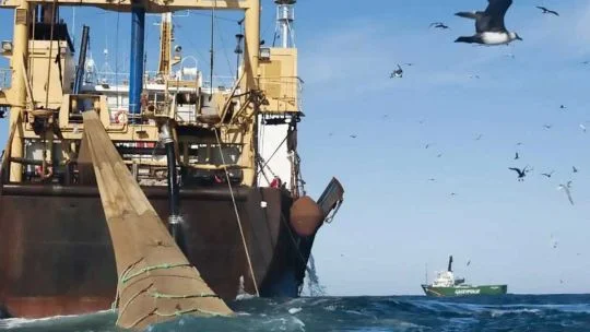 From squid to oil: How the UK is consolidating the illegal exploitation of the Malvinas waters through to 2047