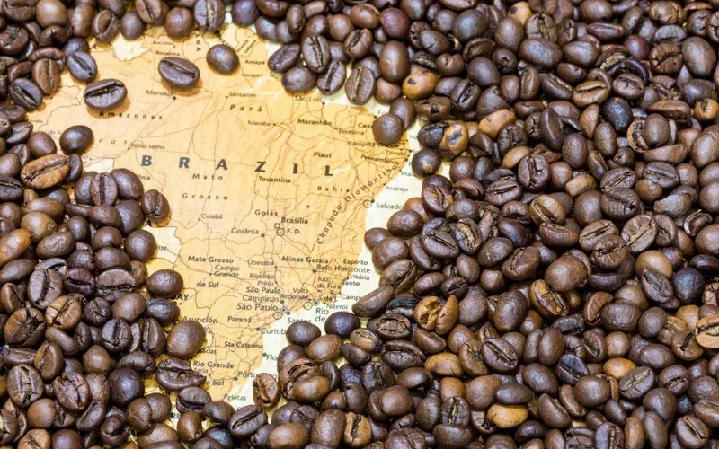 Free Coffee Tastings in Sao Jose on Saturday, and It Is Not the Sao Jose You Think