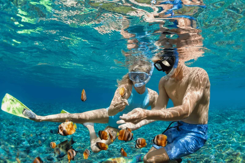 Win £350 worth of travel experiences with Viator this summer
