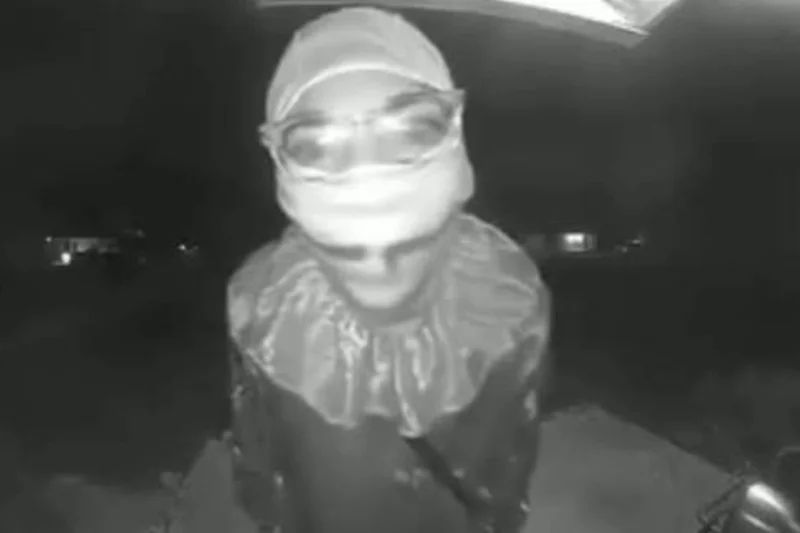 Teen in a clown outfit accused of murdering 78-year-old man in ‘random attack’ at bus stop