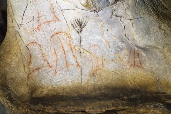Is This the World’s Oldest Image of a Mind‑altering Plant?