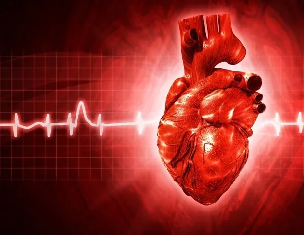 Prediction model can estimate heart disease risk in women earlier in life