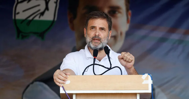 SC orders Allahabad HC to halt disproportionate assets case against Rahul Gandhi