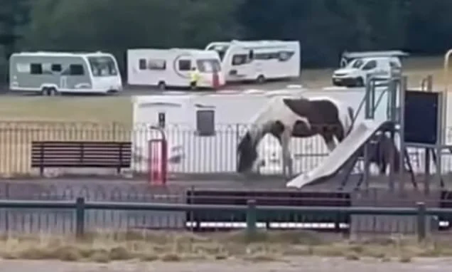 Residents' fury as travellers smash through locks to set up illegal encampment of more than 20 caravans on popular recreational park