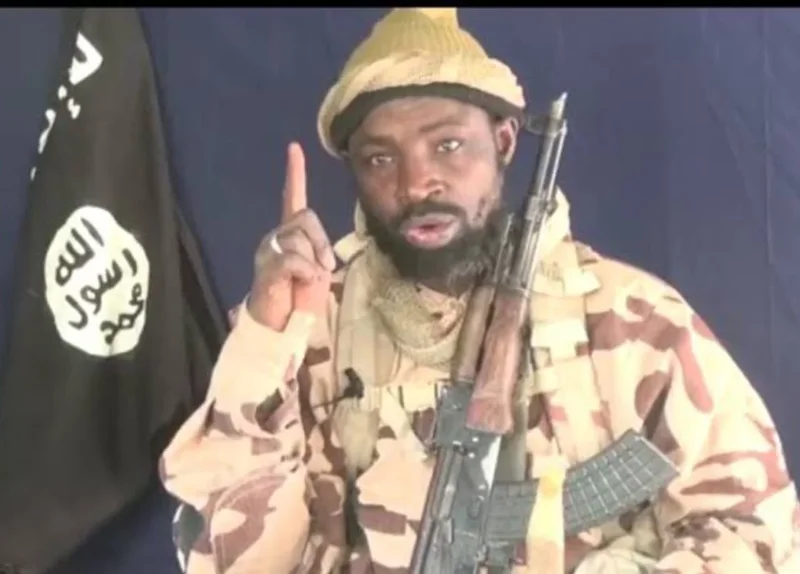Concerns as Shekau’s son reportedly emerges in Boko Haram ranks