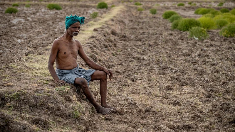A dry spell along the Cauvery