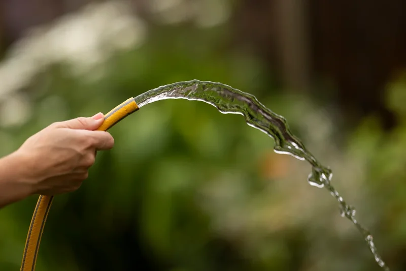 Hosepipe ban: When will restrictions end as South West Water imposes ban?