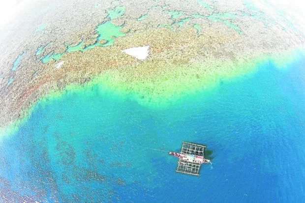 Chinese naval drills monitored near Bajo de Masinloc in WPS — AFP