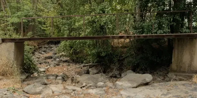 Thibault Datry, ecohydrologist: 'Rivers that, in living memory, had never dried up no longer flow'