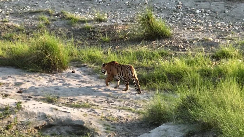 In Nepal, residents learn how to live alongside wild animals