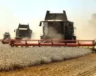 Ukraine war briefing: Zelenskyy warns Egypt of food supply threat caused by Russian strikes in Black Sea