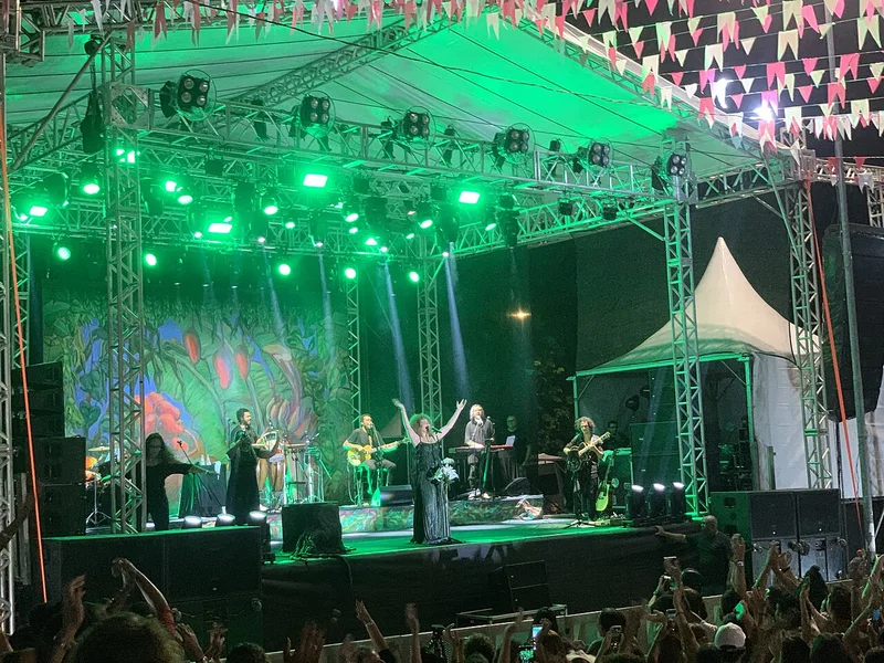 Rio de Janeiro’s August Concert Calendar Stacks Up with Rosalía, Caetano Veloso and More