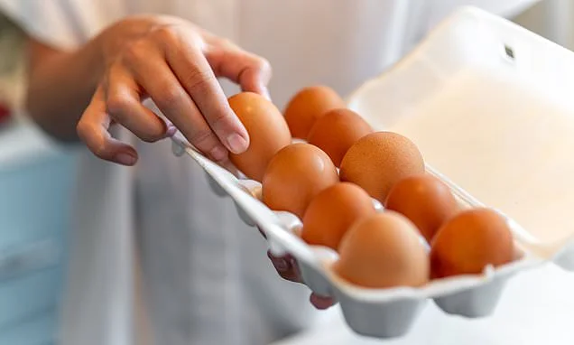 Fury as UK health chiefs won't disclose source of 'imported' deadly eggs - as major salmonella outbreak kills one and sickens 200