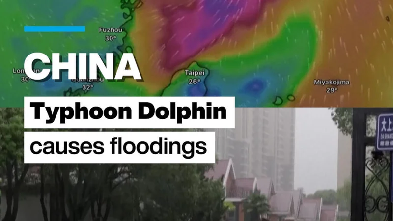 China: Tropical storm Dolphin causes floodings