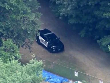 8-year-old boy dies after getting hit by falling tree at YMCA camp