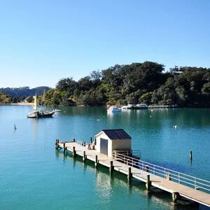Man charged after person shot, critically injured in Kawau Island hunting incident