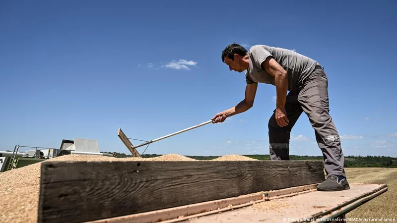 Ukraine's farmers struggle to sell harvest amid war, drought