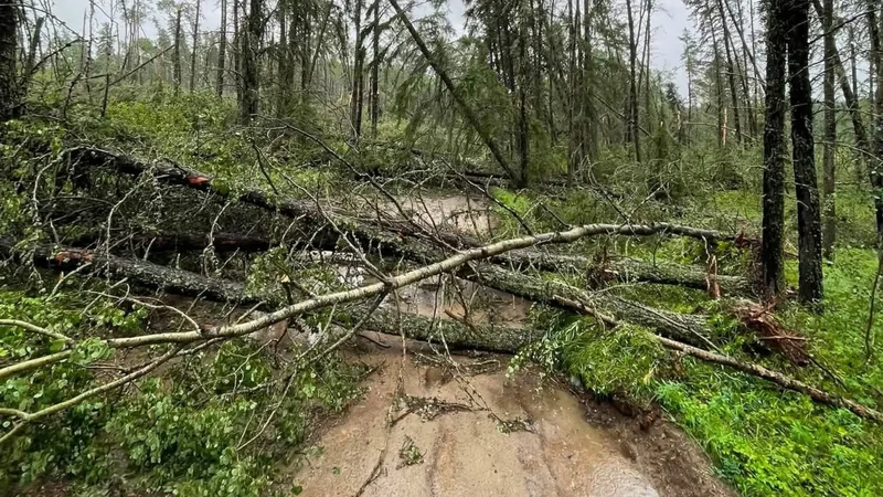 Family stranded overnight as storm blocks road near Seibert Lake: ‘Couldn’t see anything’