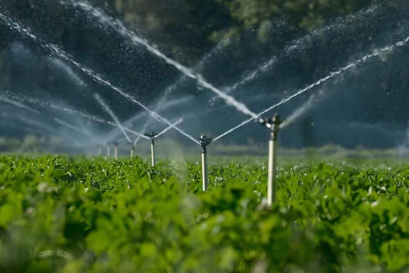 Agriculture, energy ministries’ systems connected for smart water management