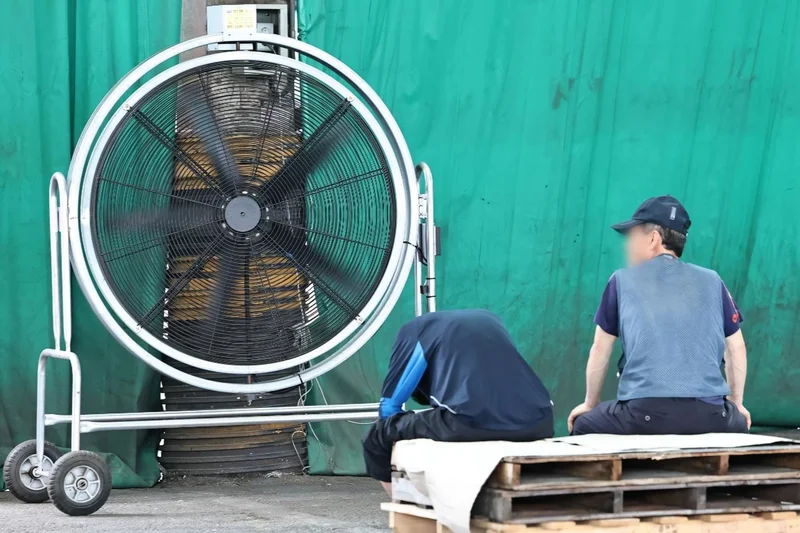 Use fans only when temperatures stay below 40°C: WHO heat wave guidance