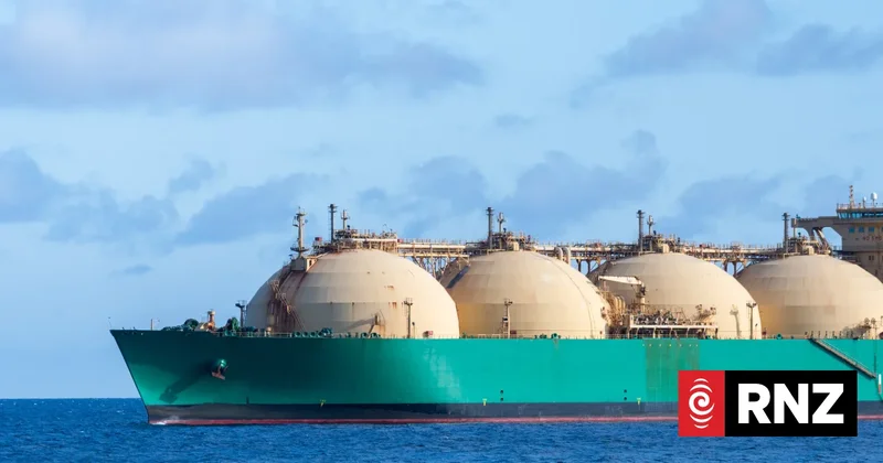 Auditor-General urged to launch inquiry into plans to build LNG terminal